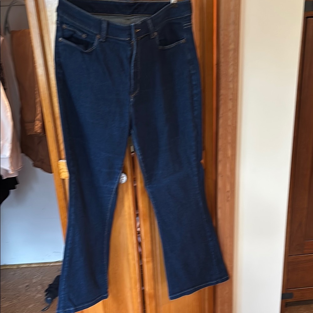 LL Bean Women's Blue Jeans